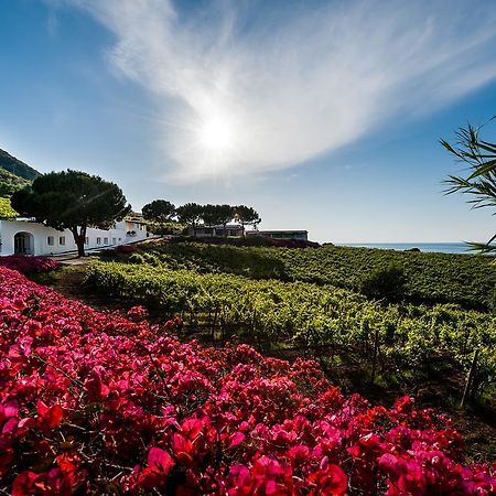 Capofaro Locanda & Malvasia Malfa  Exteriör bild