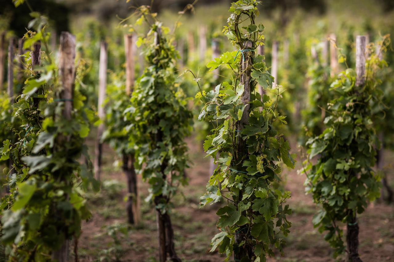 Capofaro Locanda & Malvasia Malfa  Exteriör bild